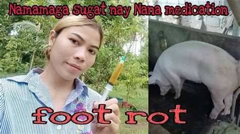 sugat sa paa in english|May namamaga akong sugat sa pa in English with examples.